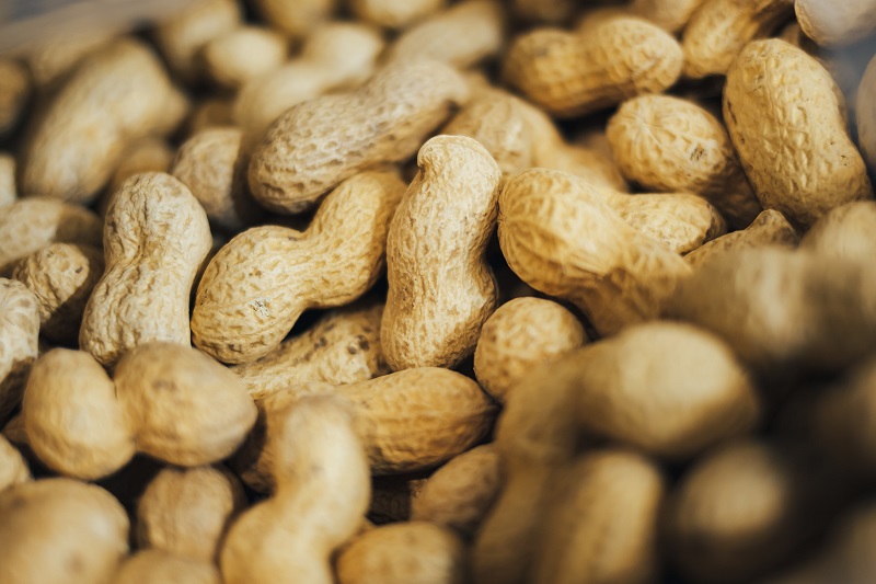 ingredients-of-peanut-skin
